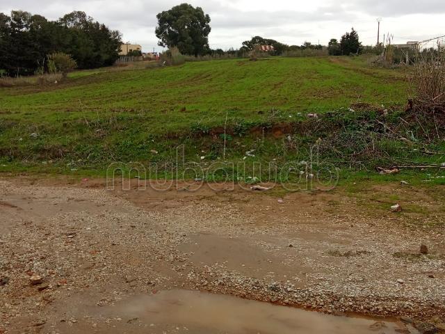 Appartement vente à Tanger-Tétouan