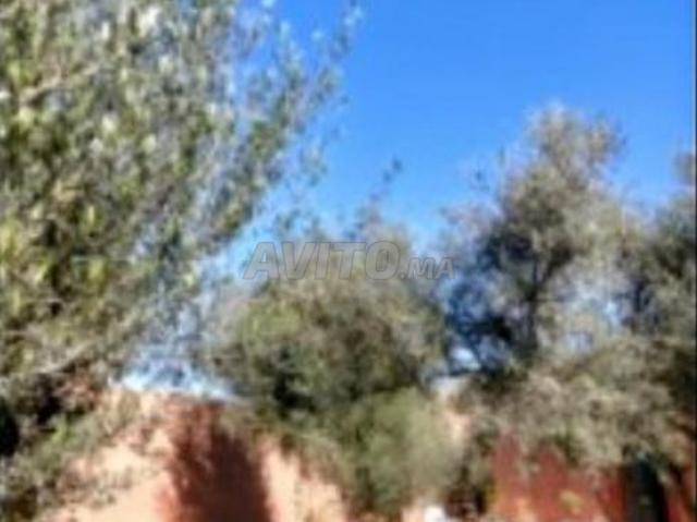 Propriété vente à Ouarzazate