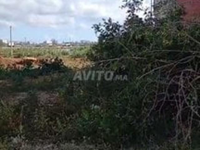 Propriété vente à Had Soualem, Gharb-Chrarda-Beni Hssen