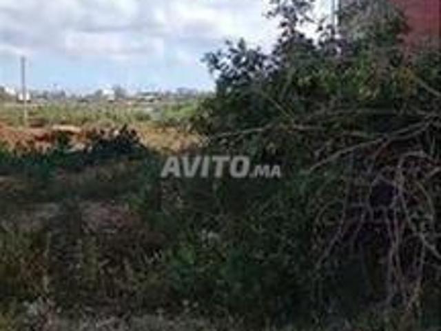 Propriété vente à Had Soualem, Gharb-Chrarda-Beni Hssen