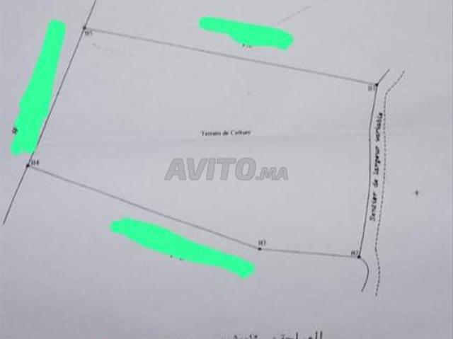 Propriété vente à Ahfir