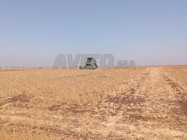 Propriété vente à El Gara, Gharb-Chrarda-Beni Hssen