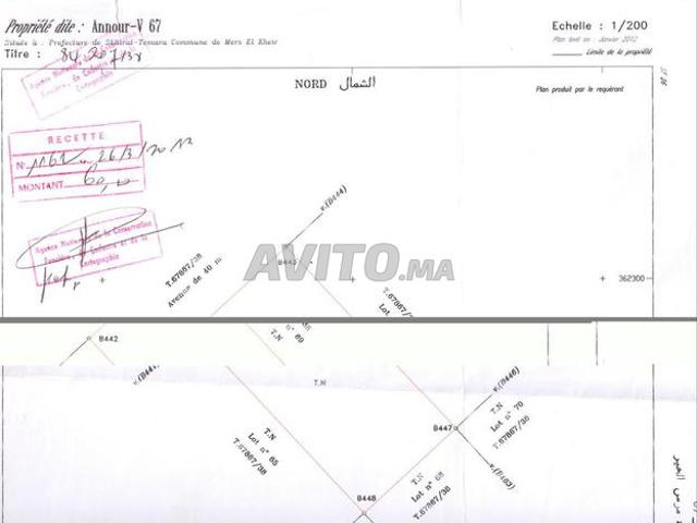 Propriété vente à Tamesna