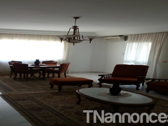 Appartement location