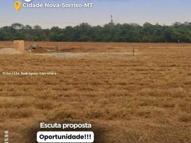 Terreno venda em Região Geográfica Imediata de Sorriso, Sorriso