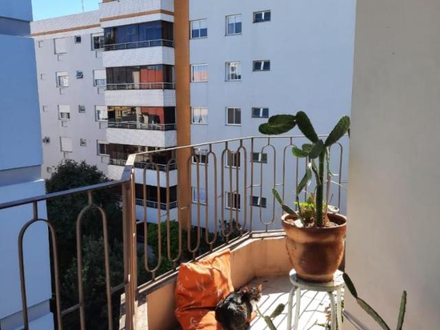 Apartamento venda em Santa Maria