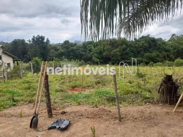 Fazenda venda em Região Geográfica Imediata de Itabira, Bom Jesus do Amparo