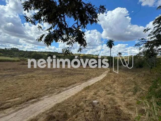 Fazenda venda em Região Geográfica Imediata de Belo Horizonte, Região Metropolitana de Belo Horizonte