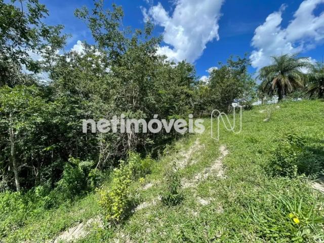 Fazenda venda em Região Geográfica Imediata de Belo Horizonte, Região Metropolitana de Belo Horizonte