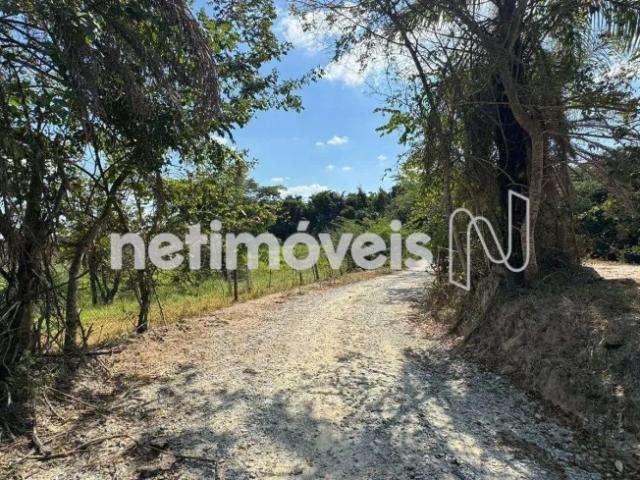 Fazenda venda em Região Geográfica Imediata de Belo Horizonte, Região Metropolitana de Belo Horizonte