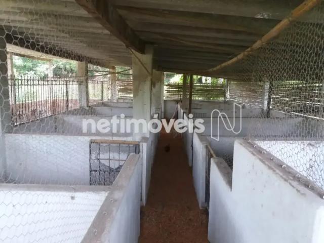 Fazenda venda em Região Geográfica Imediata de Pará de Minas, Pará de Minas
