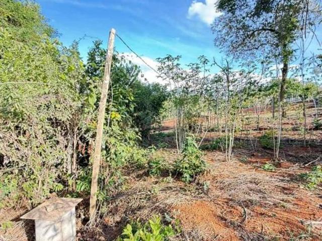 Sítio e chácara venda em Região Geográfica Imediata de Oliveira, Região Metropolitana de Belo Horizonte