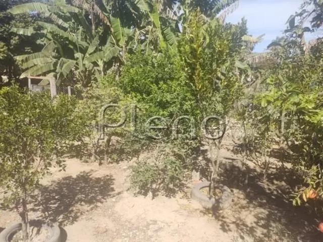Fazenda venda em Região Imediata de Campinas, Região Metropolitana de Campinas