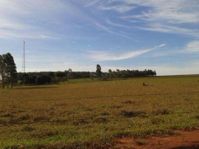 Sítio e chácara venda em Região Geográfica Imediata de Paranacity-Colorado, Cruzeiro do Sul