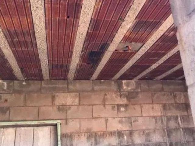 Sítio e chácara venda em Região Geográfica Imediata de Maringá, Presidente Castelo Branco