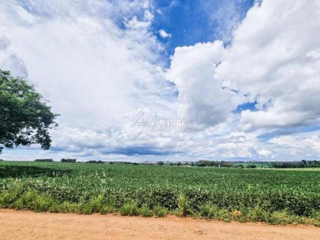 Sítio e chácara venda em Região Geográfica Imediata de Londrina, Cambé
