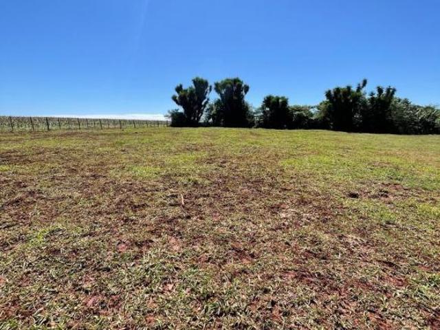Sítio e chácara venda em Bandeirantes, Região Geográfica Intermediária de Londrina