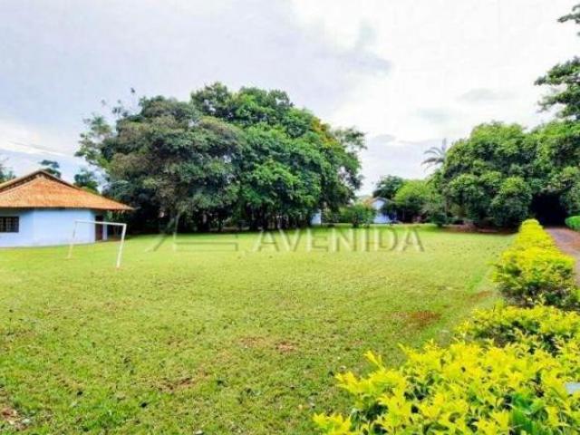 Sítio e chácara venda em Região Geográfica Imediata de Londrina, Cambé