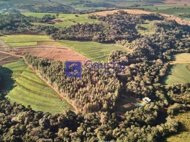Sítio e chácara venda em Região Geográfica Imediata de Cascavel, Iguatu