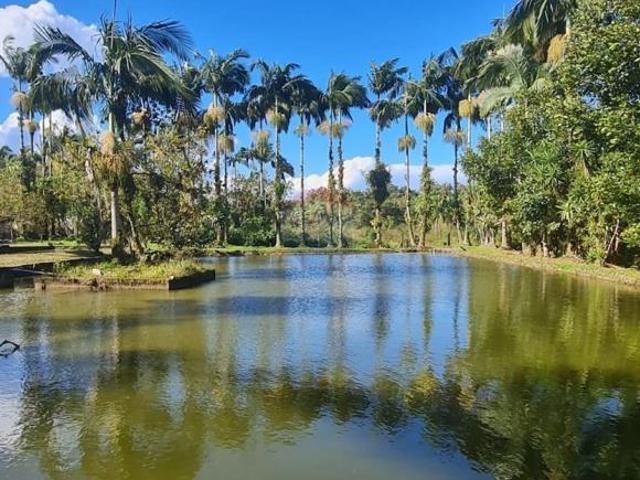 Sítio e chácara venda em Região Geográfica Imediata de Paranaguá, Antonina
