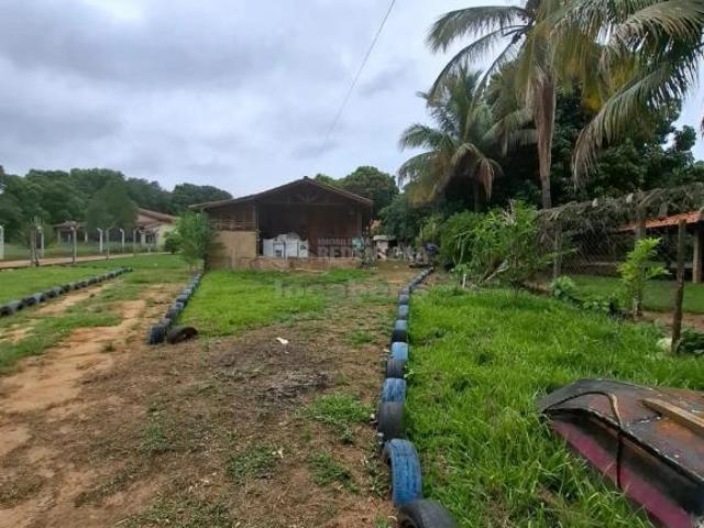 Sítio e chácara venda em Região Imediata de São José do Rio Preto, Região Metropolitana de São José do Rio Preto