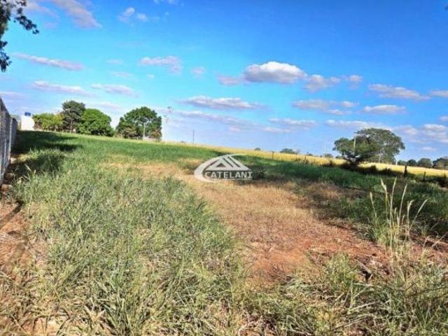 Sítio e chácara venda em Região Imediata de São José do Rio Preto, Região Metropolitana de São José do Rio Preto
