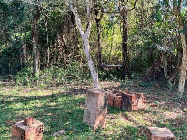 Sítio e chácara venda em Toledo, Região Geográfica Intermediária de Cascavel