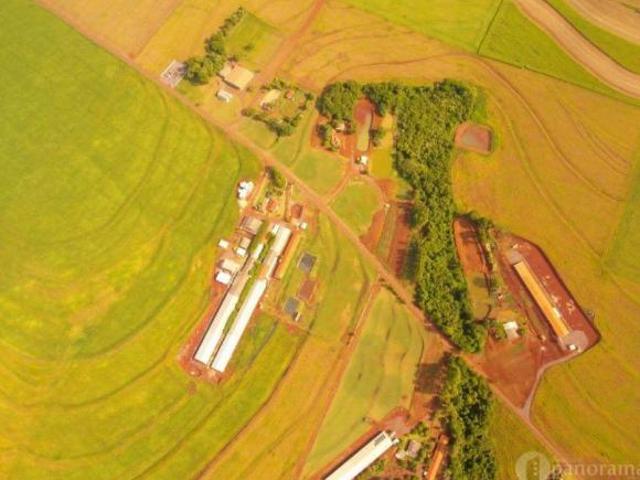 Sítio e chácara venda em Toledo, Região Geográfica Intermediária de Cascavel