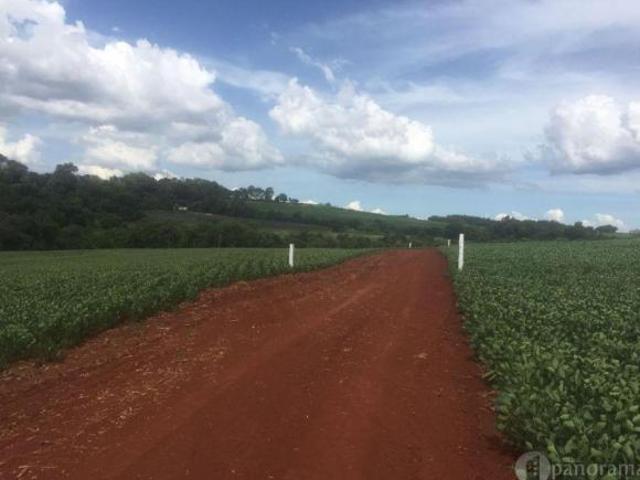 Sítio e chácara venda em Toledo, Região Geográfica Intermediária de Cascavel