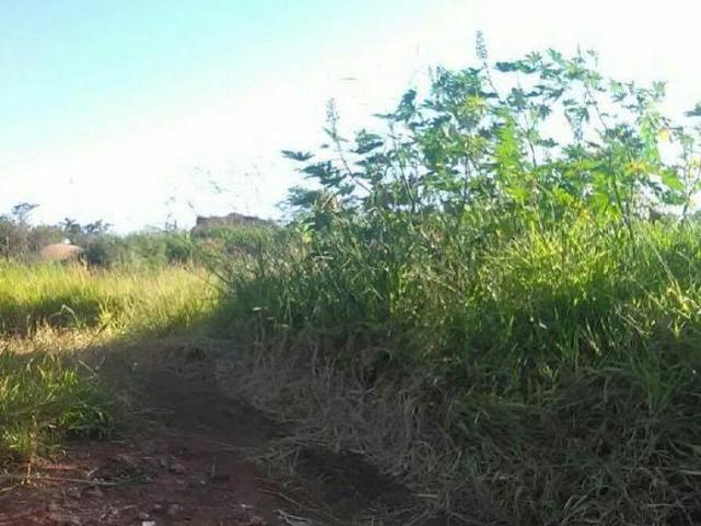Sítio e chácara venda em Umuarama, Região Geográfica Intermediária de Maringá