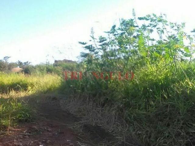 Sítio e chácara venda em Região Geográfica Imediata de Umuarama, Região Metropolitana de Umuarama