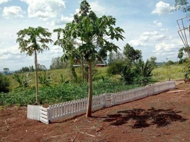 Sítio e chácara venda em Região Geográfica Imediata de Maringá, Mandaguari
