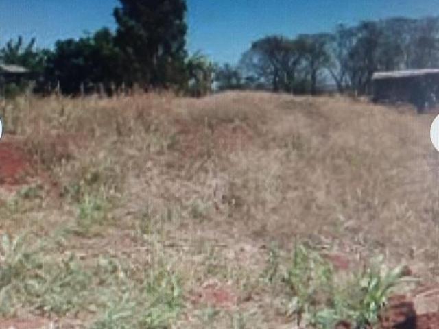 Sítio e chácara venda em Região Geográfica Imediata de Maringá, Paiçandu