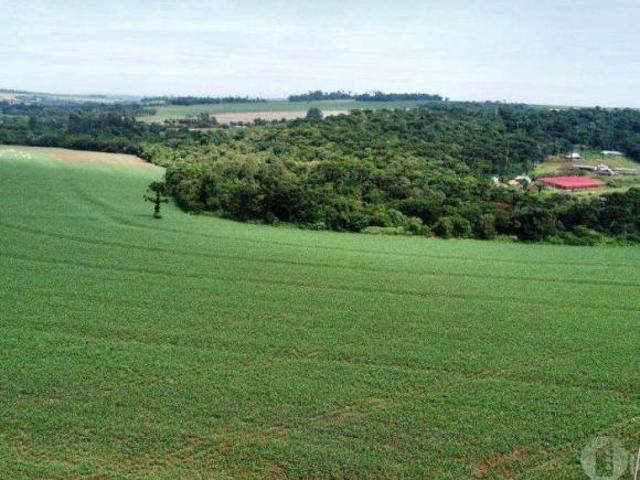 Sítio e chácara venda em Toledo, Região Geográfica Intermediária de Cascavel