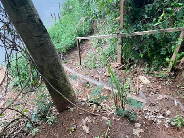Sítio e chácara venda em Região Geográfica Imediata de Campo Mourão, Engenheiro Beltrão