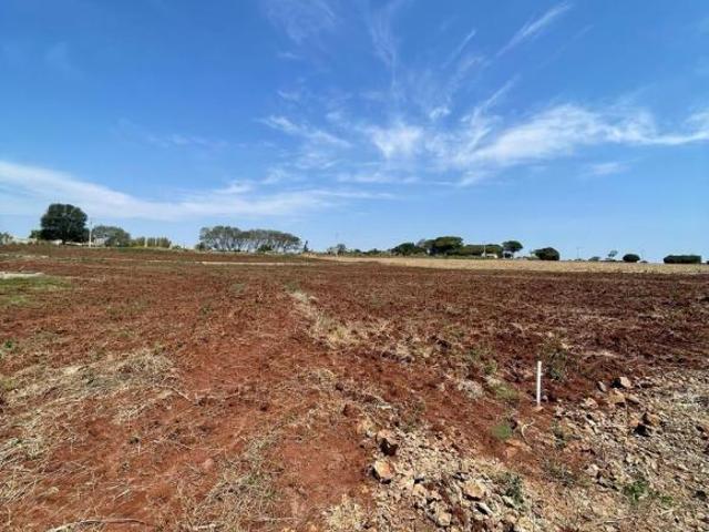 Sítio e chácara venda em Região Geográfica Imediata de Maringá, Astorga