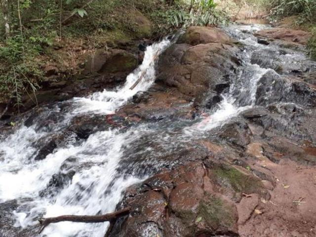 Sítio e chácara venda em Região Geográfica Imediata de Maringá, Maringá