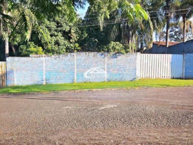 Sítio e chácara venda em Região Imediata de São José do Rio Preto, Região Metropolitana de São José do Rio Preto