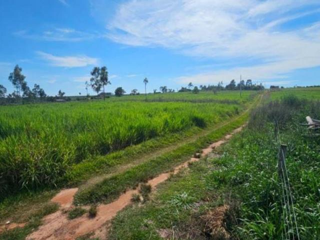 Sítio e chácara venda em Região Geográfica Imediata de Umuarama, Região Metropolitana de Umuarama