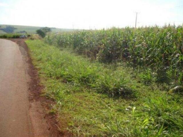 Sítio e chácara venda em Região Geográfica Imediata de Toledo, Tupassi
