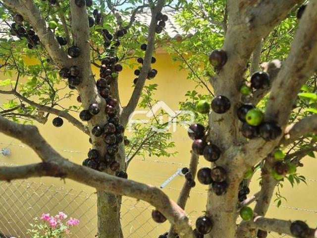 Sítio e chácara venda em Condomínio Fazenda Palmeiras Imperiais, Mairinque