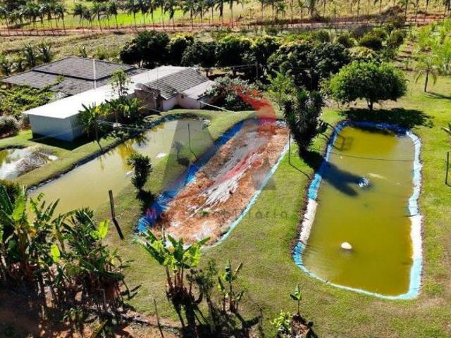 Sítio e chácara venda em Região Geográfica Imediata de Águas Lindas de Goiás, Região Integrada de Desenvolvimento do Distrito Federal e Entorno