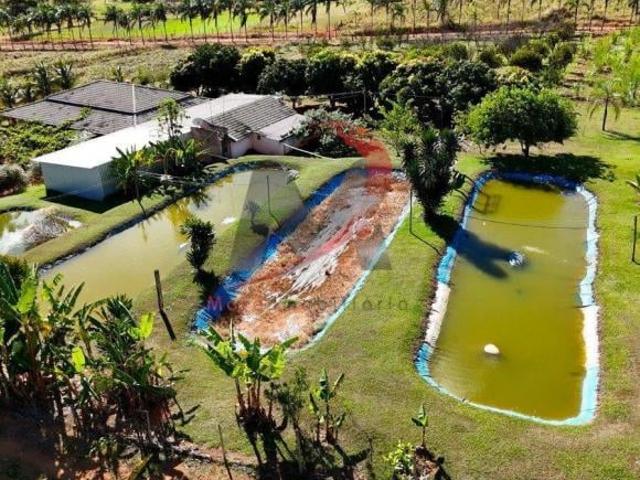 Sítio e chácara venda em Centro, Formosa