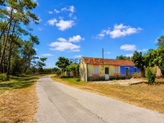 Casa venda em Resgatados, Montemor-o-velho