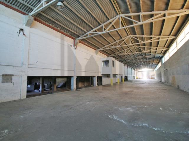 Armazém venda em Chamusca, Santarém