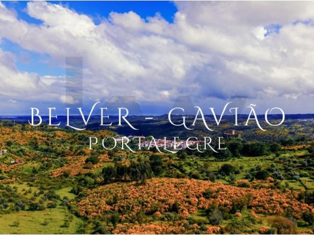 Terreno venda em Gavião, Portalegre
