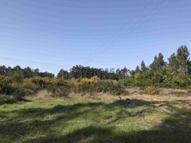 Terreno venda em Cantanhede, Coimbra