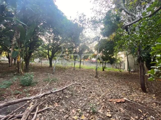 Fazenda venda em Região Imediata de Ribeirão Preto, Região Metropolitana de Ribeirão Preto