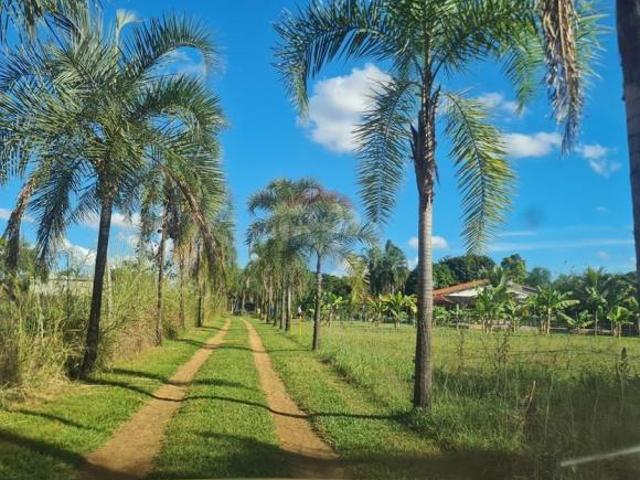 Sítio e chácara venda em Região Geográfica Imediata do Distrito Federal, Região Integrada de Desenvolvimento do Distrito Federal e Entorno