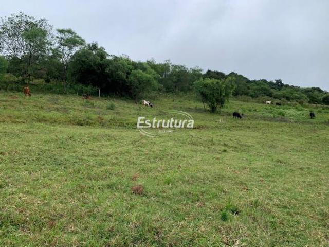 Sítio e chácara venda em Região Geográfica Imediata de Santa Maria, São Martinho da Serra